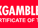 Gaming Pay México logo